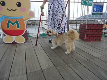 DSC00062