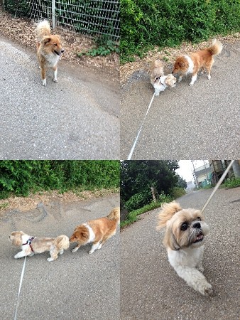 どんちゃん