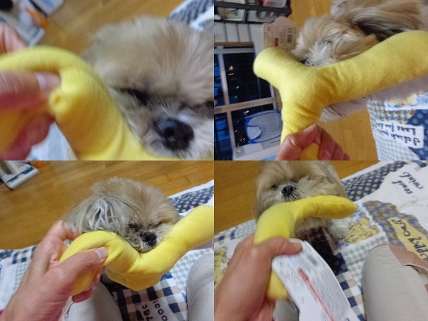 ニューイエロー