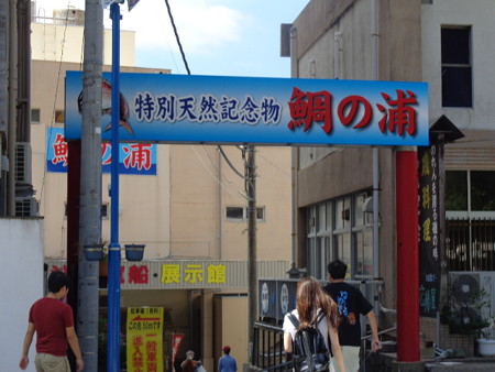 DSC00257