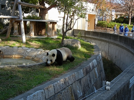 DSCN2260