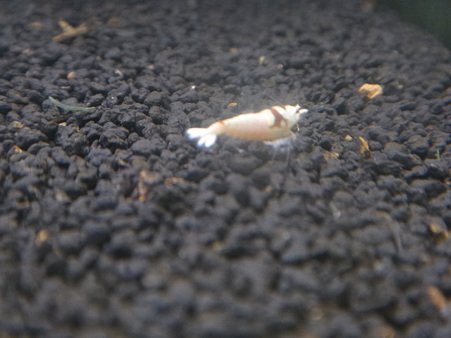 DSC00900