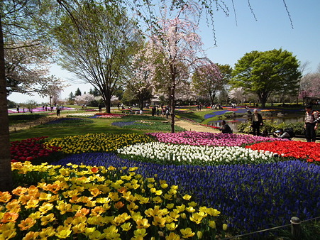 14昭和記念公園