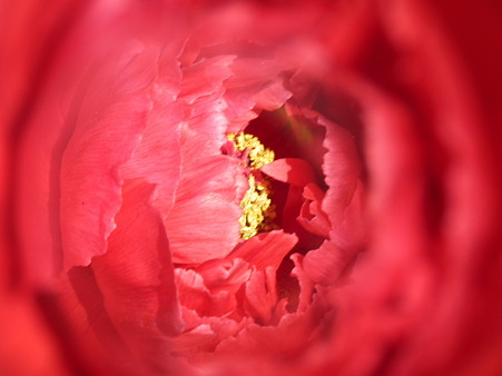 DSCF0193