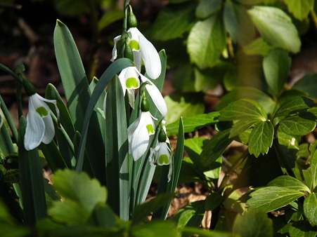 DSCF0206