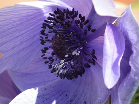 DSCF0270