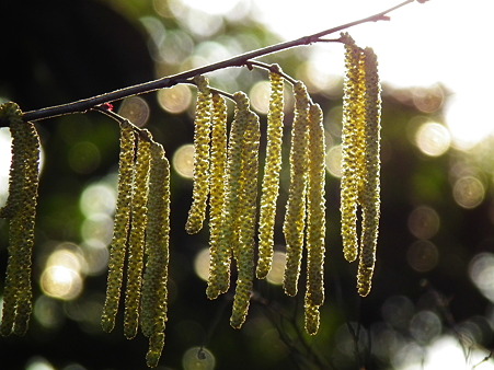 DSCF0680