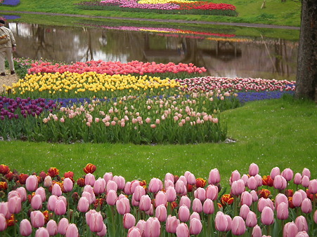DSCF0398