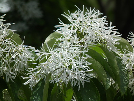 DSCF0104