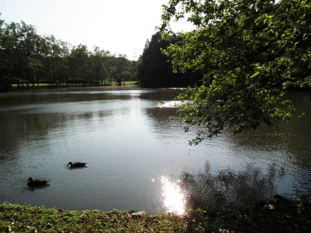 DSCF0595