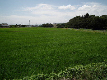 DSCF0340