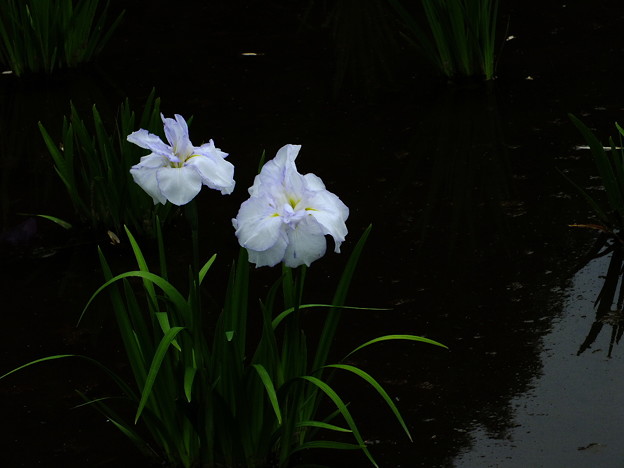 DSCF0290