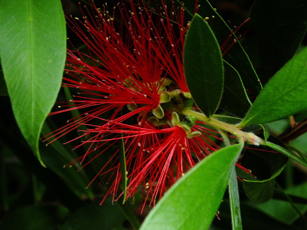 DSCF0651