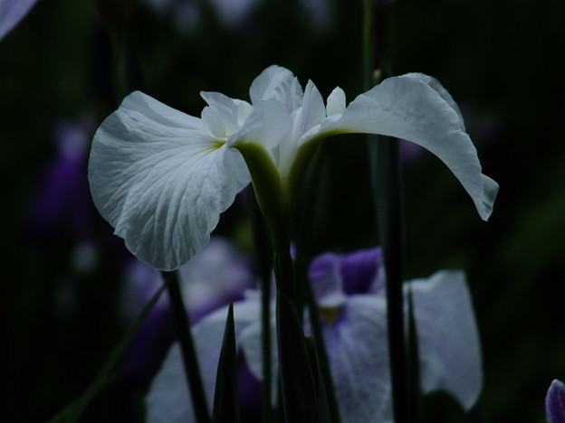 DSCF0083