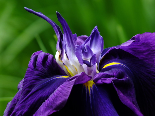 DSCF0179