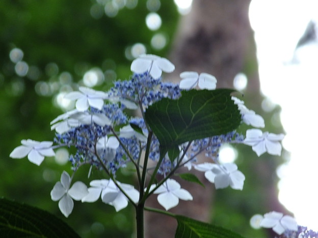 DSCF0280
