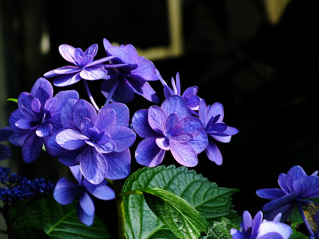 DSCF0290