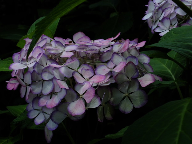 DSCF0058