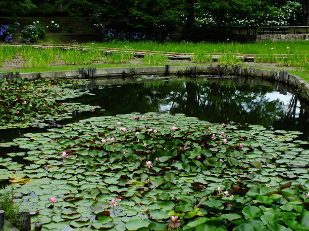 DSCF0317