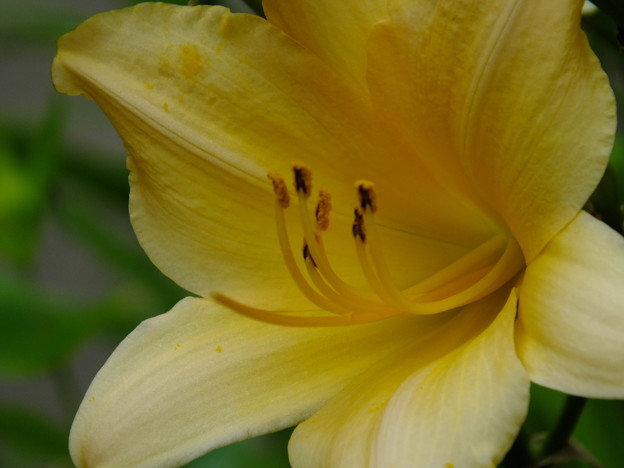 DSCF0414