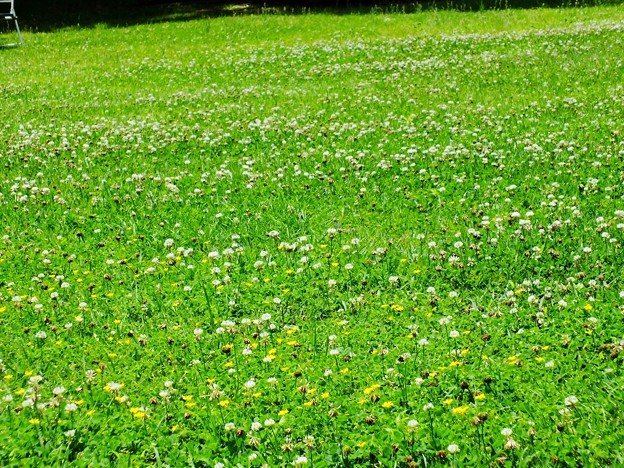 DSCF0156