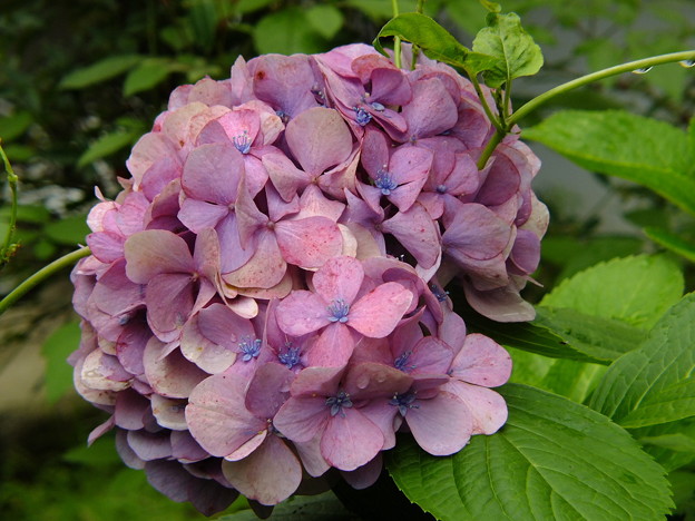 DSCF0118