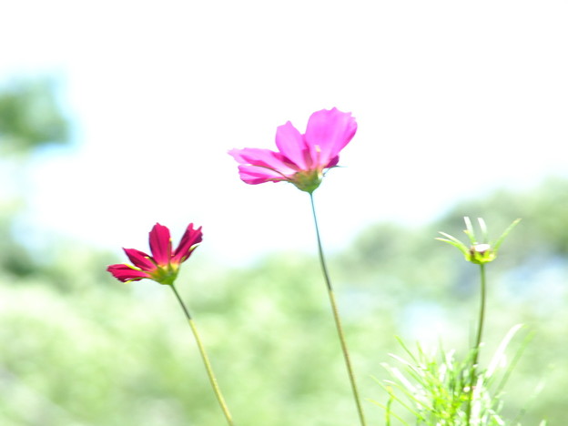 DSCF0193