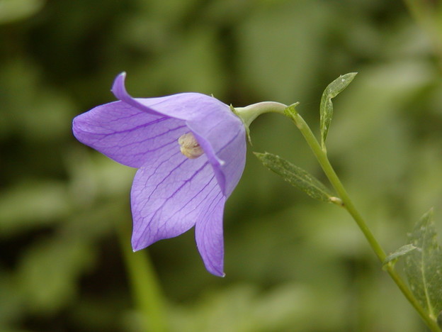 P7070041