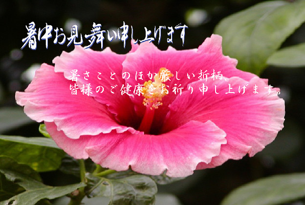 暑中15