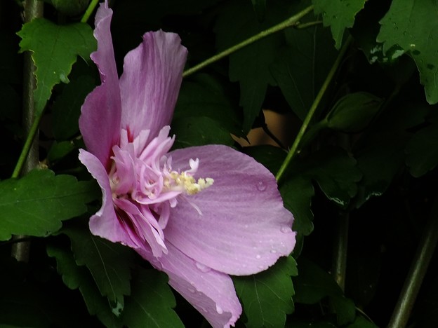 DSCF0152