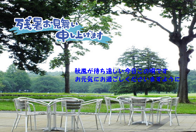 残暑40