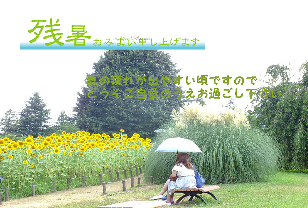 残暑41