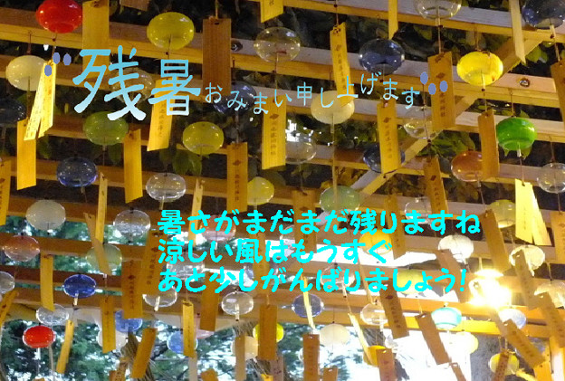 残暑42