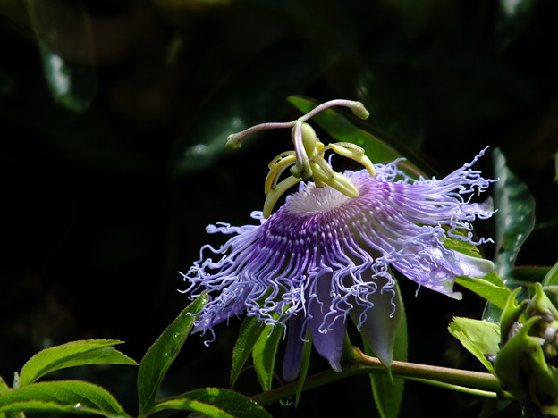 DSCF0142