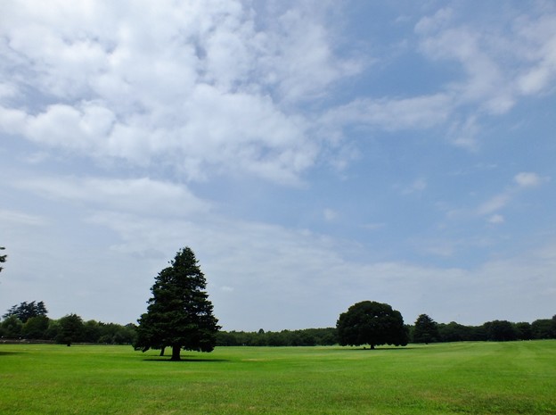 DSCF0146