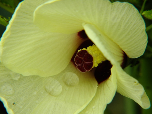 DSCF0043