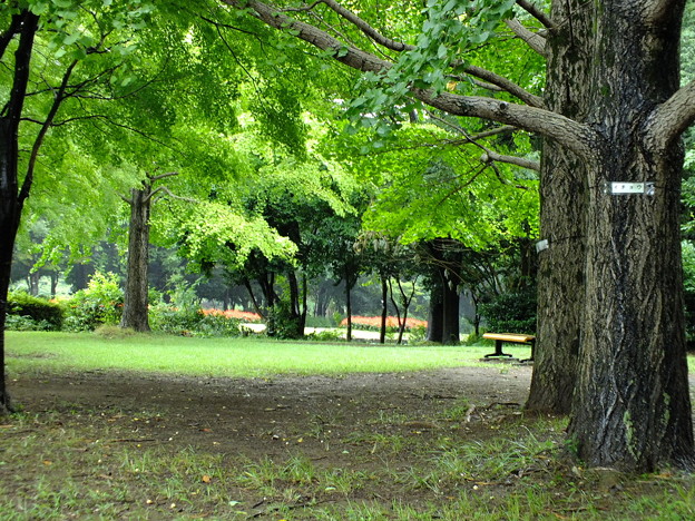 DSCF0039