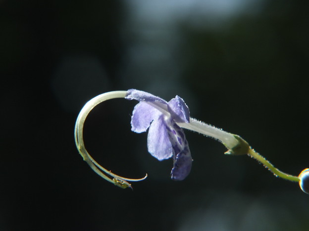 DSCF0163