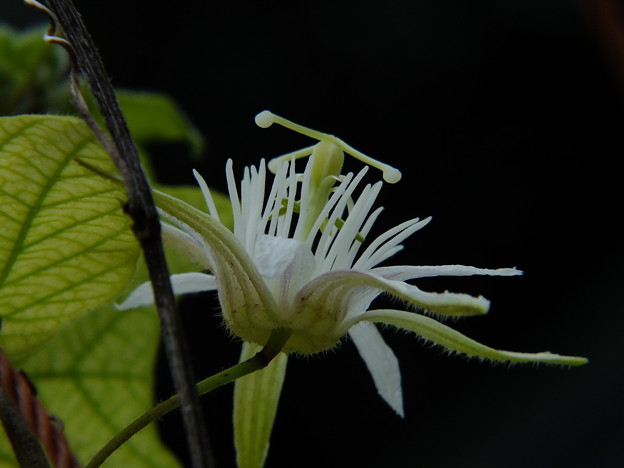 DSCF0271