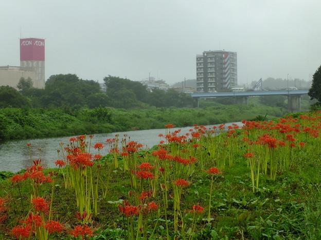 DSCF0386