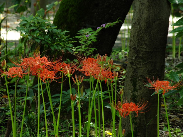 DSCF0027