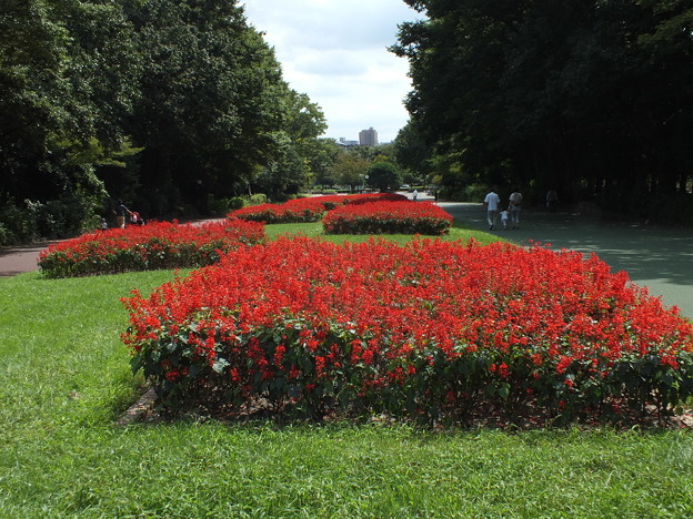 DSCF0162
