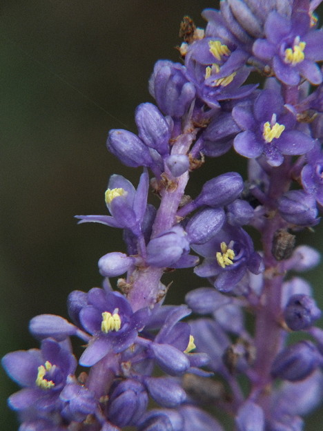 DSCF0342