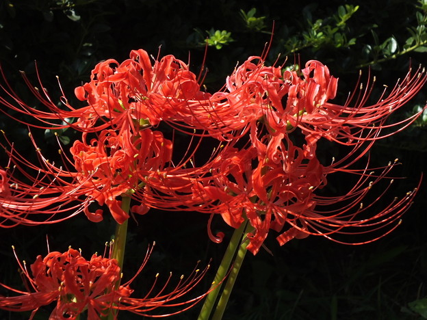 DSCF0032