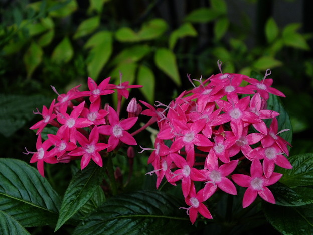DSCF0022