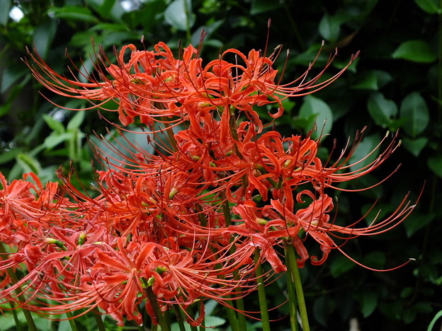 DSCF0046