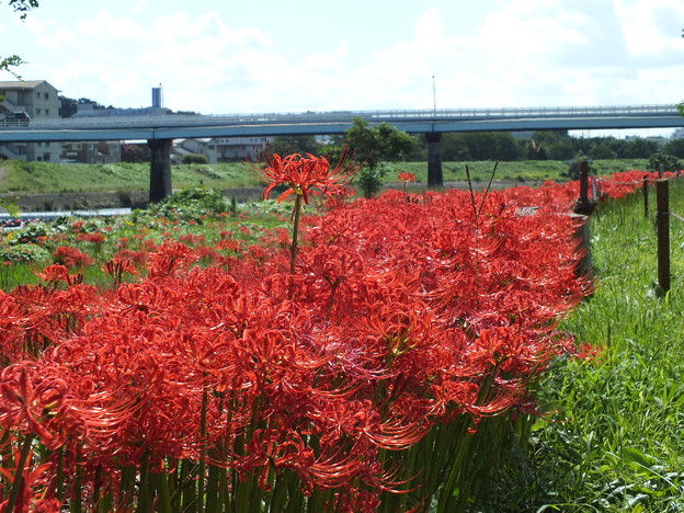 DSCF0405