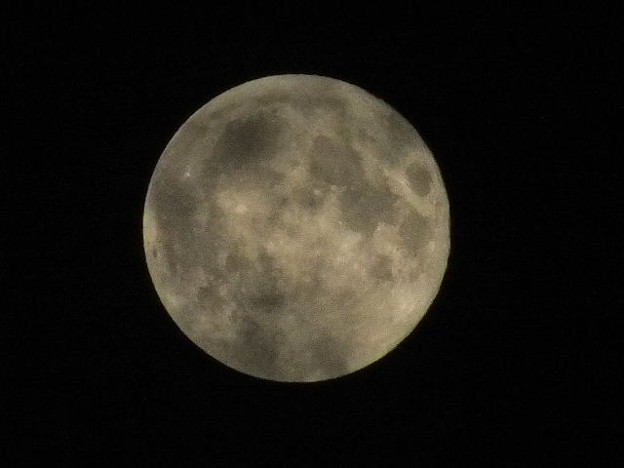 DSCF0038