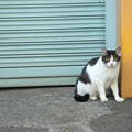 Photos: １５日（土）はママさんだけ？