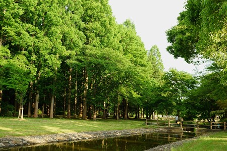 水元公園